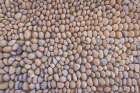 Saudi Arabia, Tabuk, Duba. Wall made of rounded stones. Minimalist Print